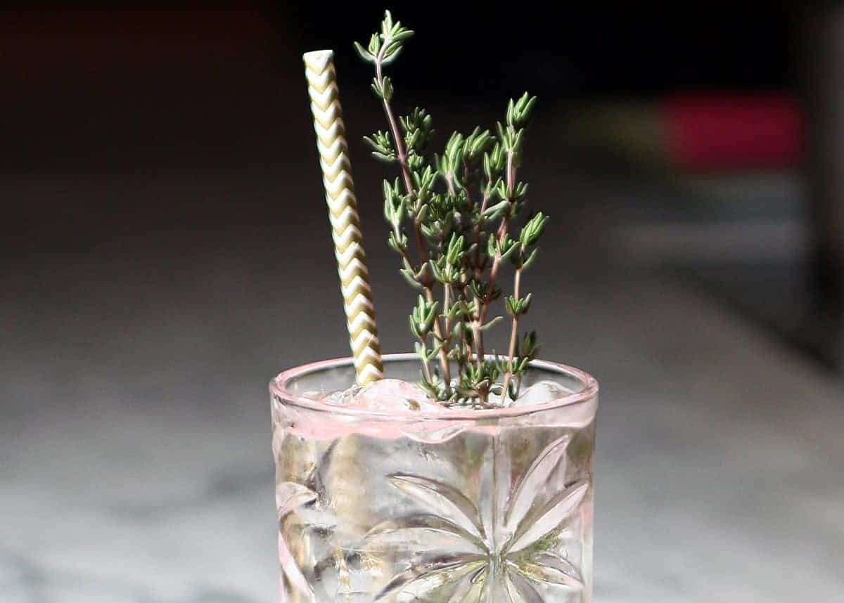 Clear Thyme Collins