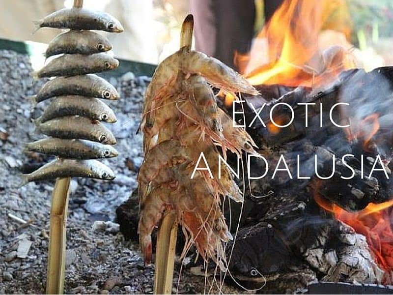 2016 Fall Culinary Excursions:  Andalusia Spain