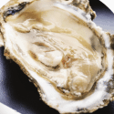 Oyster Rules