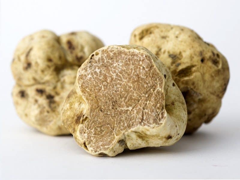 It’s Been A Good Year For White Truffles