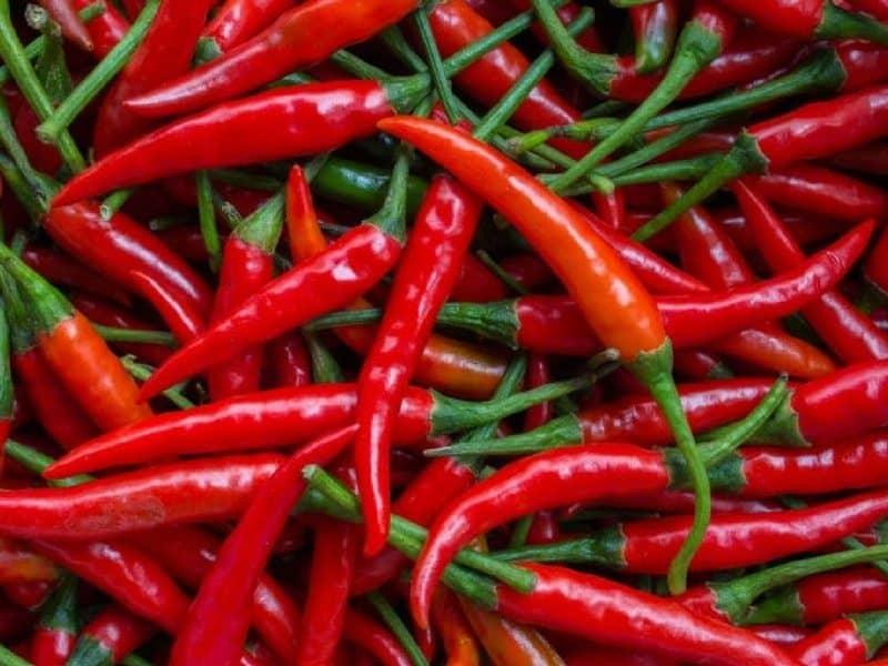 Can Spicy Food Save Your Life?