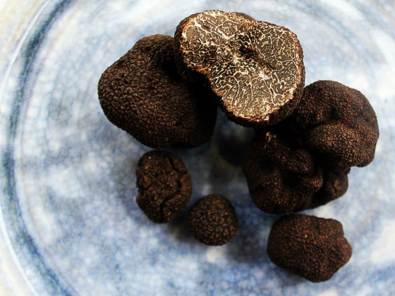 Oh Canada, Oh Truffle