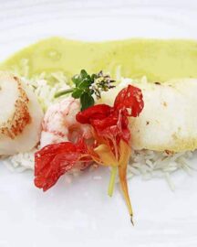 culinary adventure
