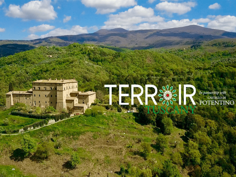 Terroir Tuscany