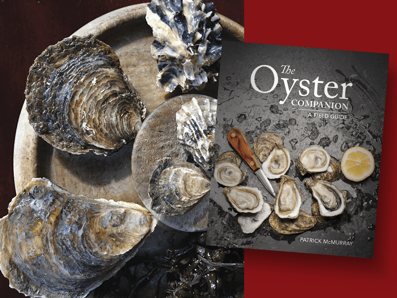 The Oyster Companion