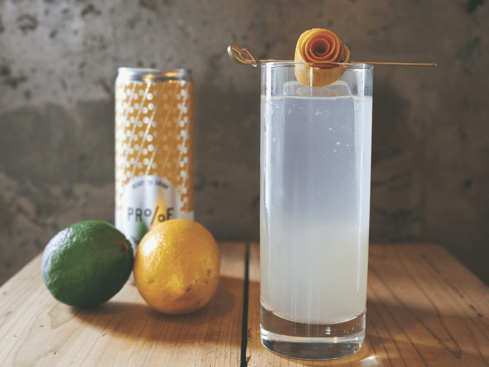 Gin Citrus Punch