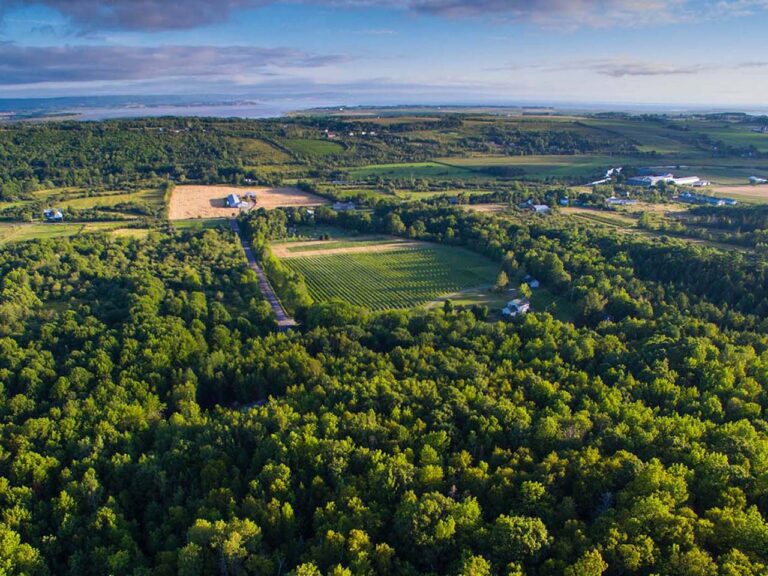 L'Acadie Vineyard Nova Scotia